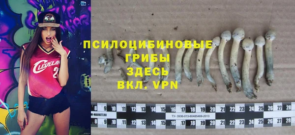 тгк Беломорск