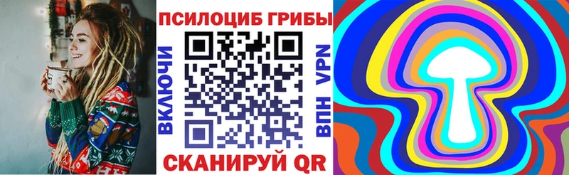 Псилоцибиновые грибы мухоморы  продажа наркотиков  blacksprut ССЫЛКА  Покровск 